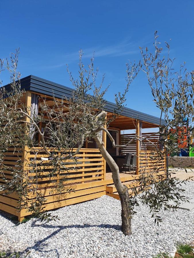 Mobile Homes Karlo & Dino بولا الغرفة الصورة